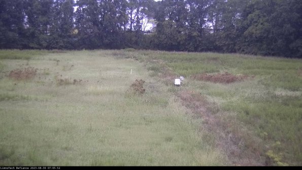 Cell 3 to 4_23-08-30_07-05-52-87