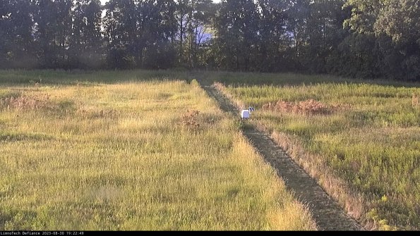 Cell 3 to 4_23-08-30_19-22-49-87