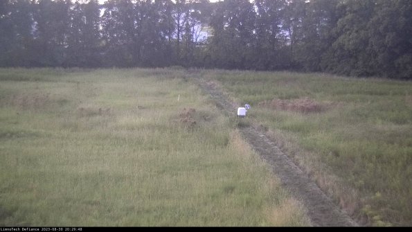 Cell 3 to 4_23-08-30_20-29-48-88