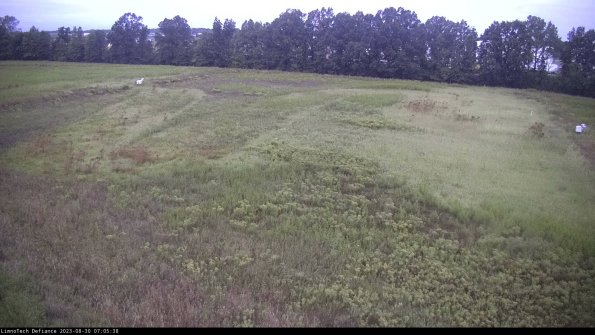 Cell 3_23-08-30_07-05-38-89