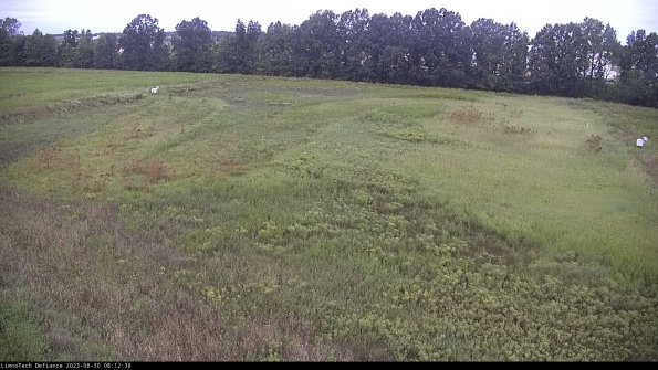 Cell 3_23-08-30_08-12-38-86