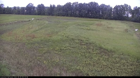 Cell 3_23-08-30_09-19-38-86