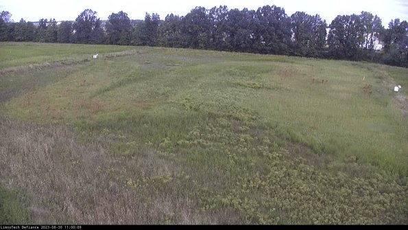 Cell 3_23-08-30_11-00-09-88