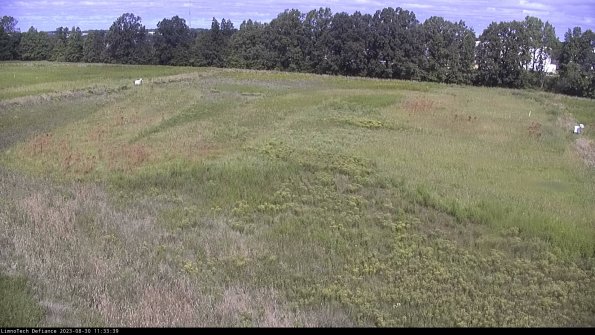 Cell 3_23-08-30_11-33-39-87