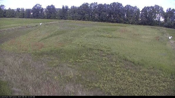 Cell 3_23-08-30_12-07-08-86