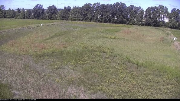 Cell 3_23-08-30_13-14-08-87