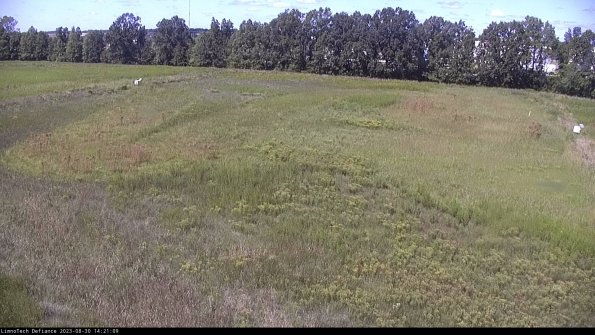 Cell 3_23-08-30_14-21-09-88