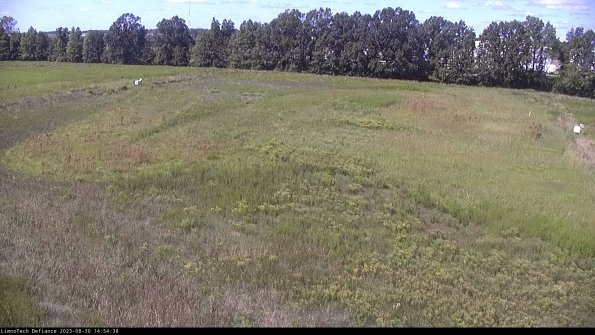 Cell 3_23-08-30_14-54-38-86