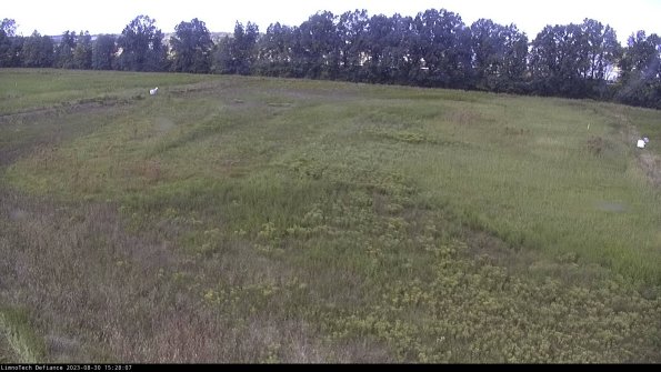 Cell 3_23-08-30_15-28-08-08