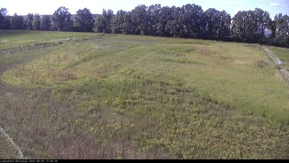 Cell 3_23-08-30_17-08-36-88