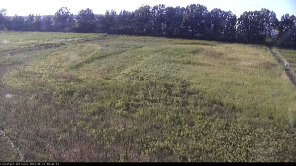 Cell 3_23-08-30_18-49-05-87