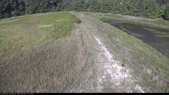 Cell 4 to Basin_23-08-30_17-43-03-86