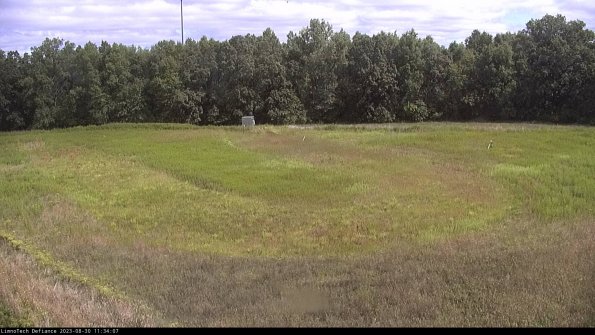 Cell 4_23-08-30_11-34-07-87