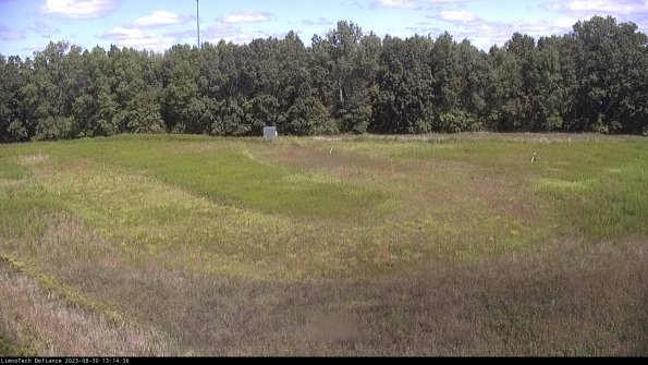 Cell 4_23-08-30_13-14-36-90