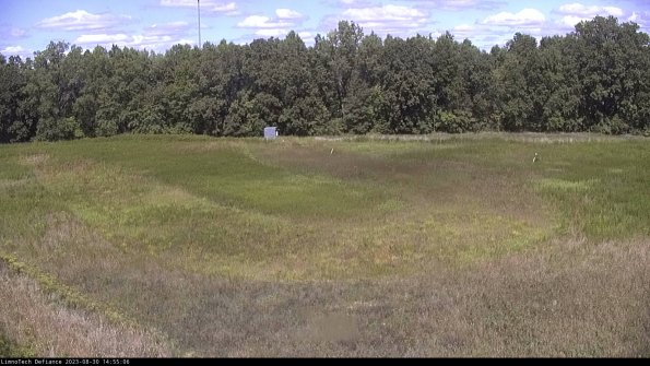 Cell 4_23-08-30_14-55-06-89