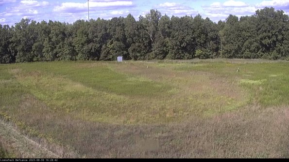 Cell 4_23-08-30_16-28-42-90