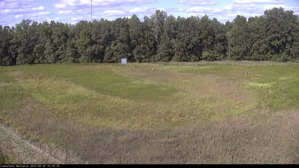 Cell 4_23-08-30_16-35-35-89