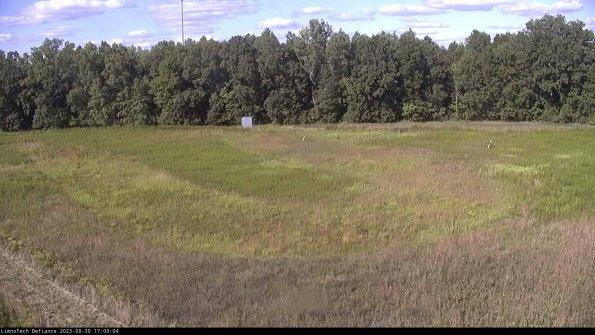 Cell 4_23-08-30_17-09-04-91