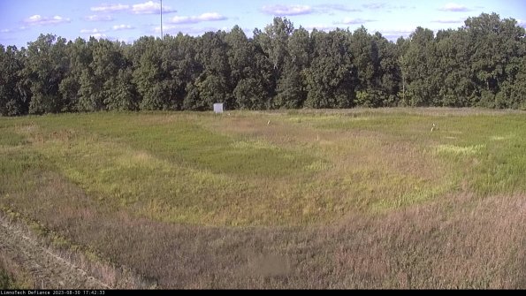 Cell 4_23-08-30_17-42-33-86