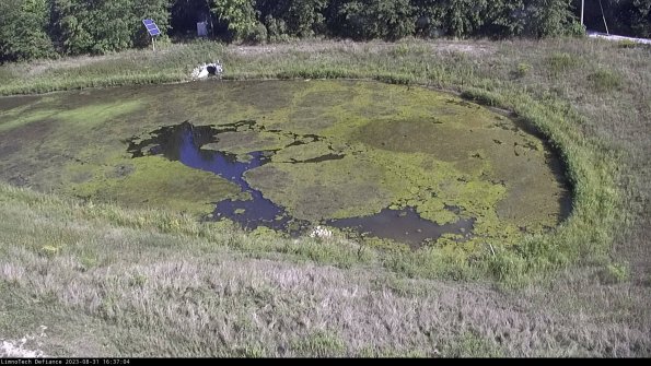 Basin Right_23-08-31_16-37-04-90