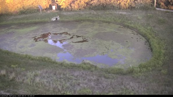 Basin Right_23-08-31_19-58-01-89