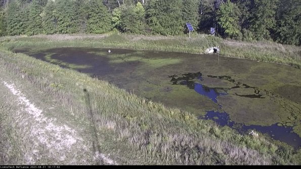 Basin_23-08-31_18-17-03-03