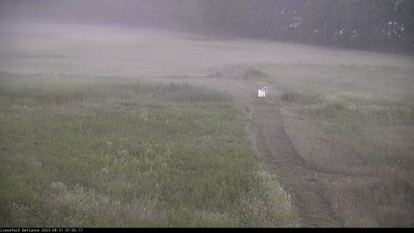 Cell 1 to 2_23-08-31_07-05-17-86