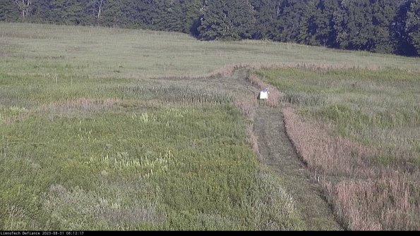 Cell 1 to 2_23-08-31_08-12-17-86