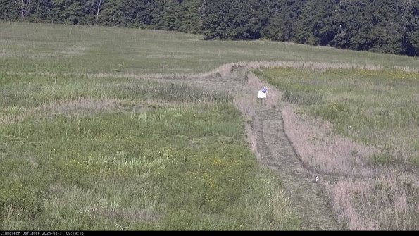 Cell 1 to 2_23-08-31_09-19-16-90