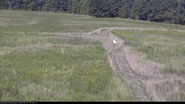 Cell 1 to 2_23-08-31_10-26-17-87