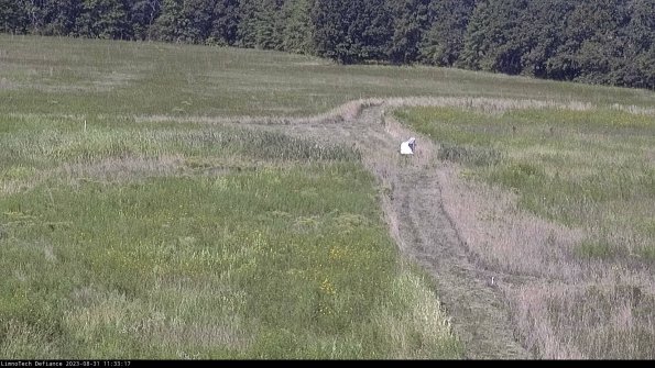 Cell 1 to 2_23-08-31_11-33-17-88