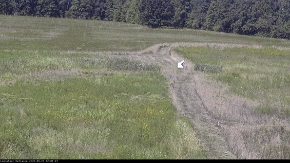 Cell 1 to 2_23-08-31_12-06-47-87