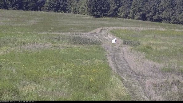 Cell 1 to 2_23-08-31_12-40-16-89