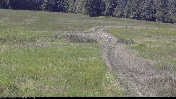 Cell 1 to 2_23-08-31_13-47-15-86