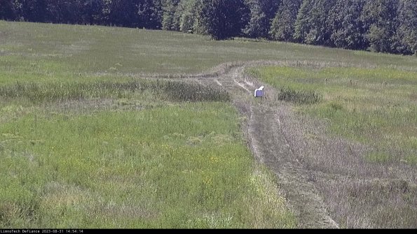 Cell 1 to 2_23-08-31_14-54-14-87