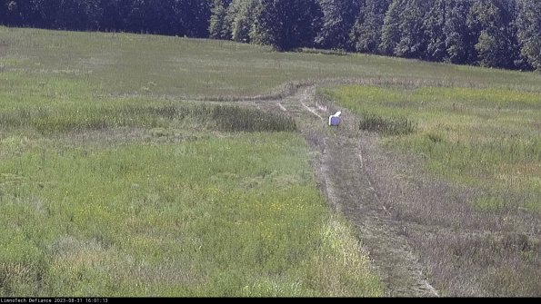 Cell 1 to 2_23-08-31_16-01-13-87