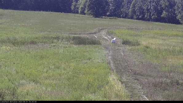 Cell 1 to 2_23-08-31_16-34-43-86