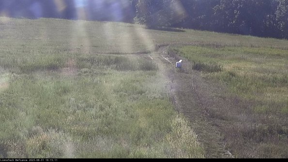 Cell 1 to 2_23-08-31_18-15-11-85