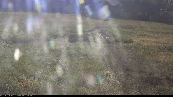 Cell 1 to 2_23-08-31_18-48-41-88