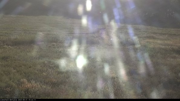 Cell 1 to 2_23-08-31_19-22-11-86