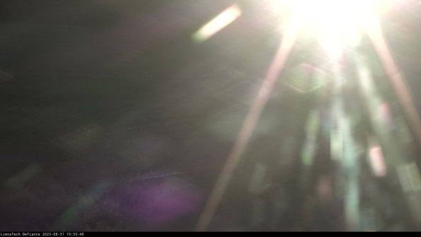 Cell 1 to 2_23-08-31_19-55-40-88