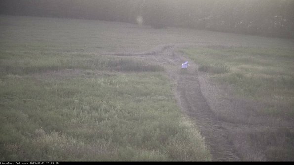 Cell 1 to 2_23-08-31_20-29-10-87