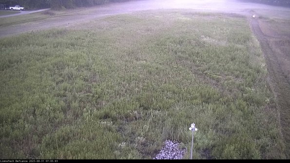 Cell 1_23-08-31_07-05-03-88