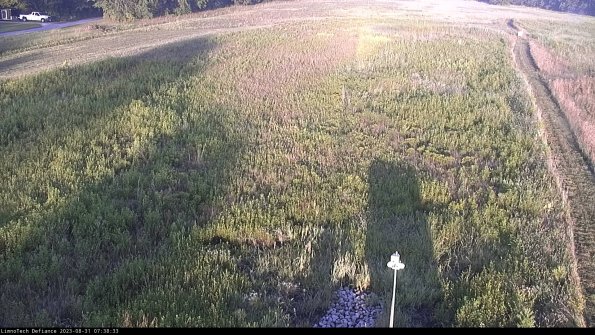 Cell 1_23-08-31_07-38-33-86