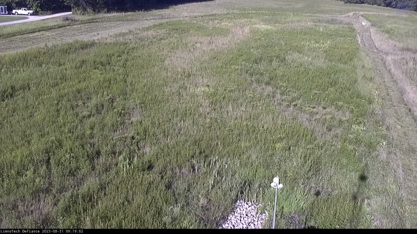 Cell 1_23-08-31_09-19-02-89