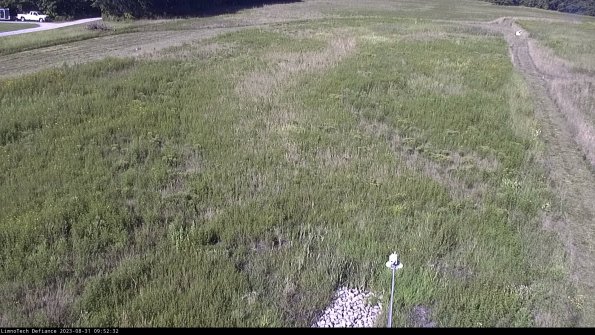 Cell 1_23-08-31_09-52-32-87