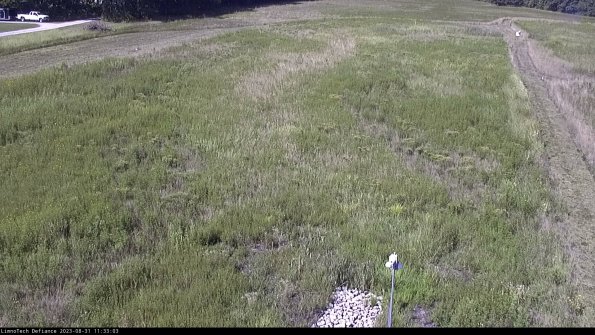 Cell 1_23-08-31_11-33-03-86