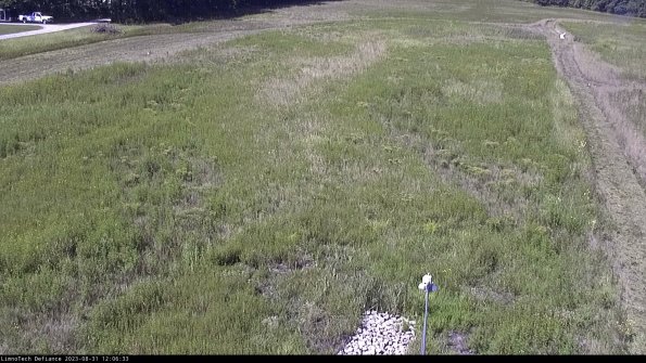 Cell 1_23-08-31_12-06-33-85