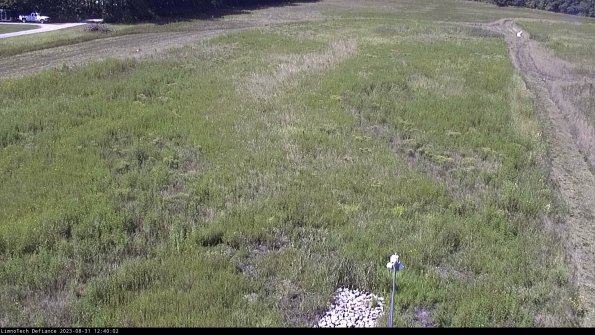 Cell 1_23-08-31_12-40-02-87