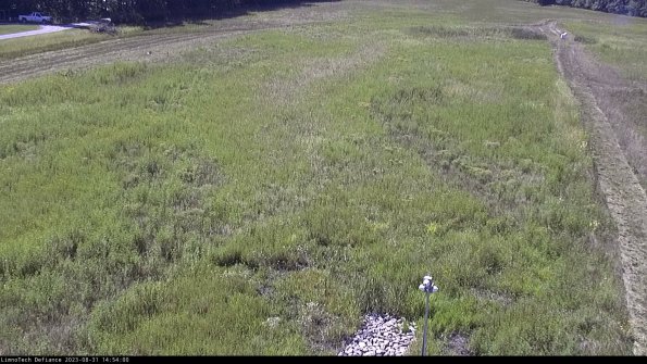 Cell 1_23-08-31_14-54-00-86